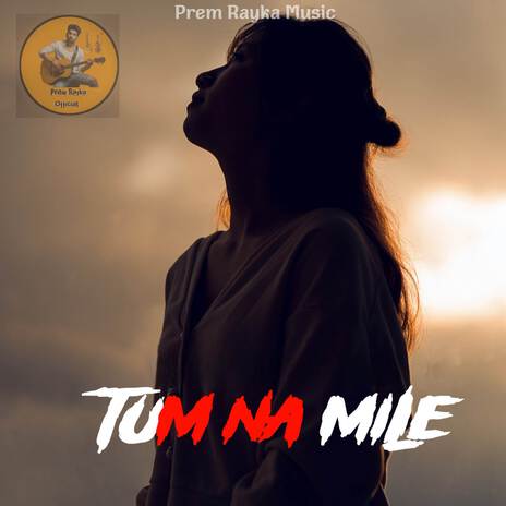 Tum Na Mile | Boomplay Music