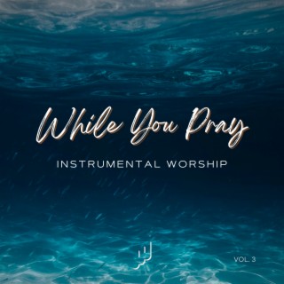 While You Pray, Vol. 3