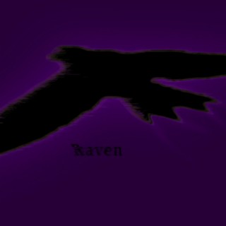 raven