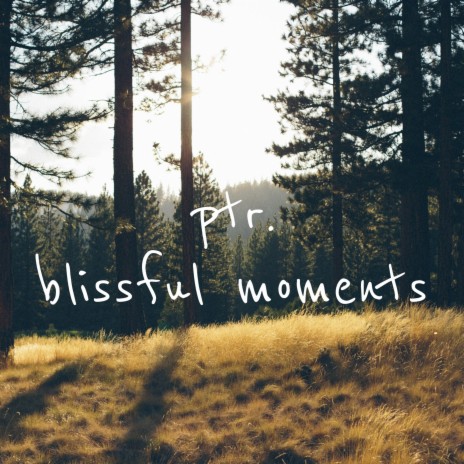 Blissful Moments | Boomplay Music