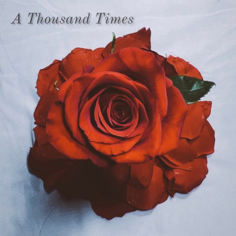 A Thousand Times | Boomplay Music