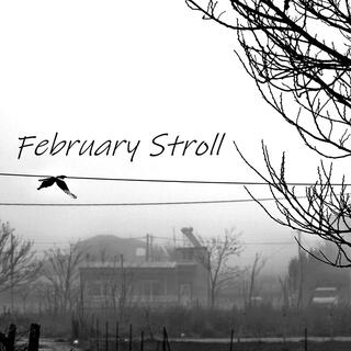 February Stroll