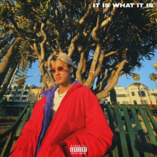 IT IS WHAT IT IS lyrics | Boomplay Music