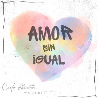 Amor Sin Igual