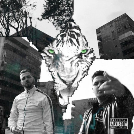 JUNGLE ft. BLACKSIDE | Boomplay Music