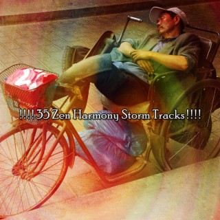 ! ! ! ! 35 Zen Harmony Storm Tracks ! ! ! !