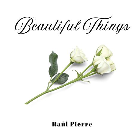 Beautiful Things | Boomplay Music