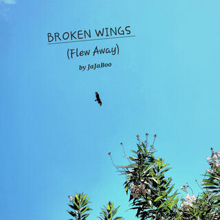 Broken Wings (Flew Away)