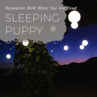 Relaxation Bgm When You Are Tired