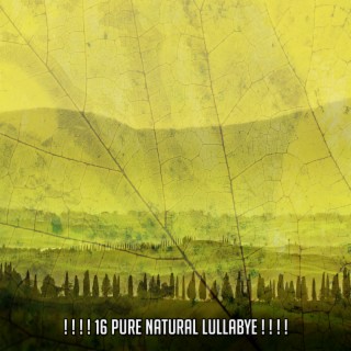 ! ! ! ! 16 Pure Natural Lullabye ! ! ! !