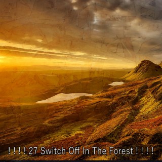 ! ! ! ! 27 Switch Off In The Forest ! ! ! !