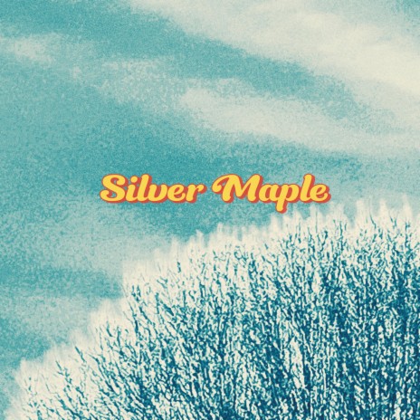 Silver Maple | Boomplay Music