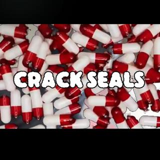 CRACK SEALZ