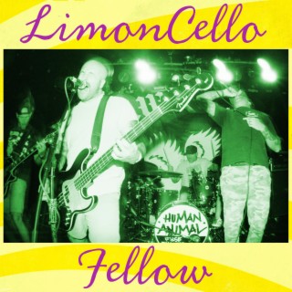 LimonCello Fellow