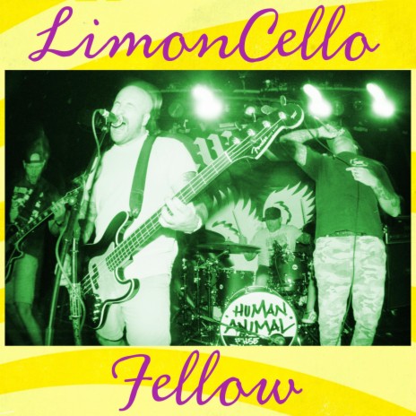 LimonCello Fellow | Boomplay Music