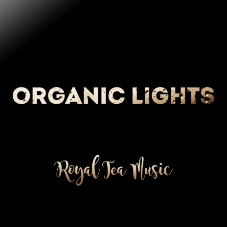 Organic Lights | Boomplay Music