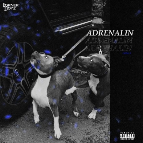 ADRENALIN | Boomplay Music