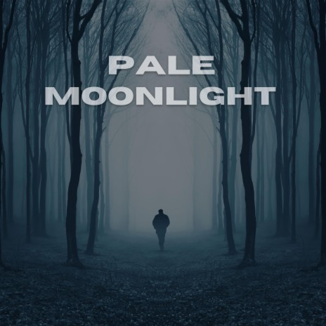 Pale Moonlight ft. Polina Faustova | Boomplay Music