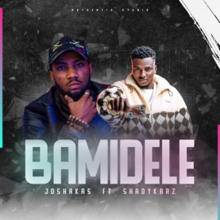 BAMIDELE ft. SHADYKARZ lyrics | Boomplay Music