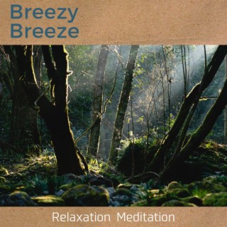 Relaxation Meditation