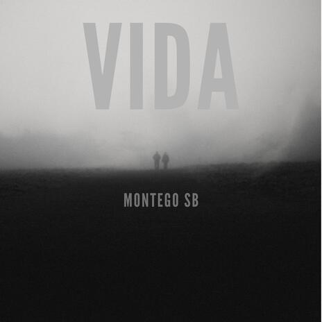 VIDA | Boomplay Music