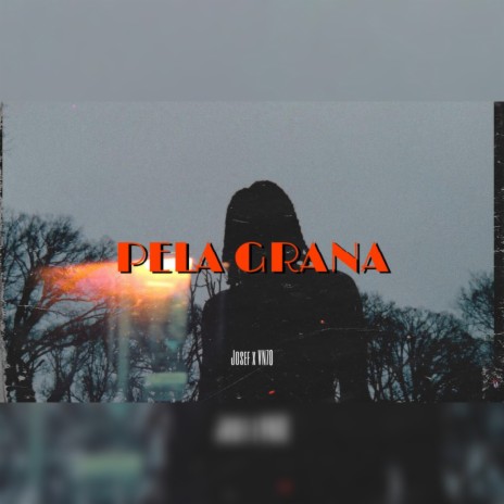 Pela Grana ft. VN70 | Boomplay Music