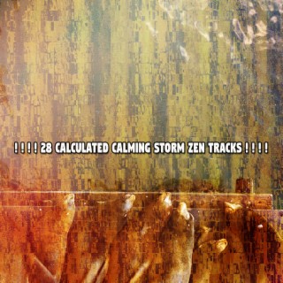 ! ! ! ! 28 Calculated Calming Storm Zen Tracks ! ! ! !
