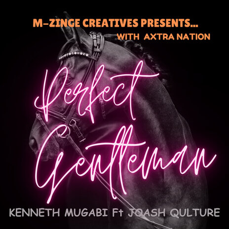 Perfect Gentleman ft. Joash Qulture | Boomplay Music