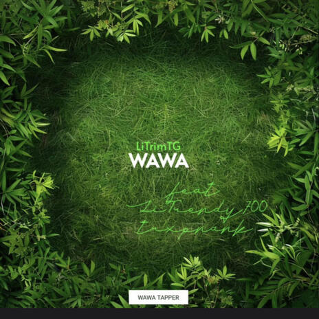 Wawa ft. Litrendtytg5 & Trxpnank | Boomplay Music