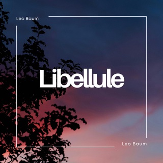 Libellule