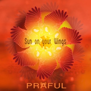 Sun on Your Wings