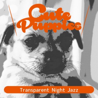 Transparent Night Jazz