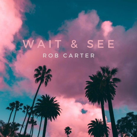 Wait & See | Boomplay Music