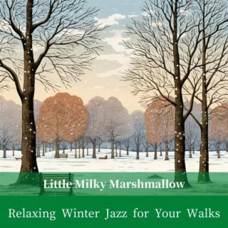 Relaxing Winter Jazz for Your Walks