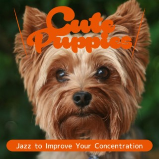 Jazz to Improve Your Concentration