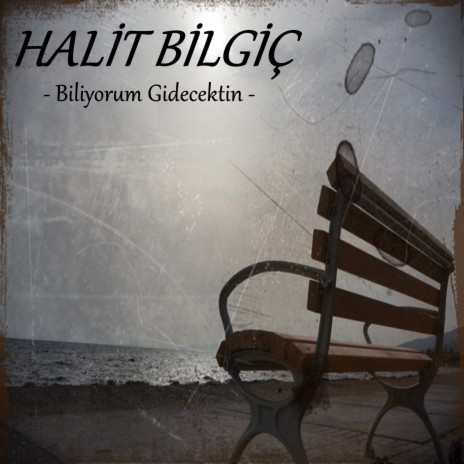 Biliyorum Gidecektin | Boomplay Music