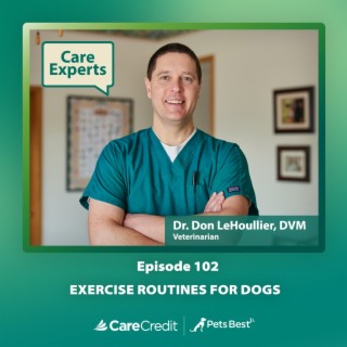 Exercise Routines for Dogs - Dr. Don Lehoullier