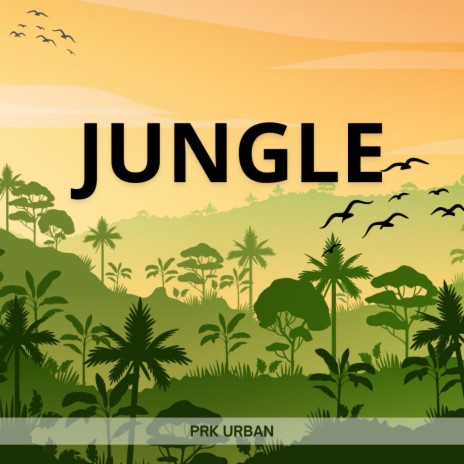Jungle ft. BBOY MUSIC & Soul Kings Band