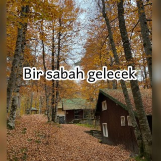 bir sabah gelecek