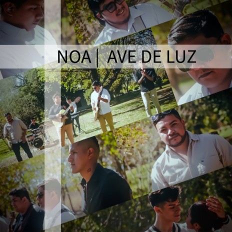 Ave de Luz (Cover) | Boomplay Music