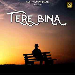 Tere Bina