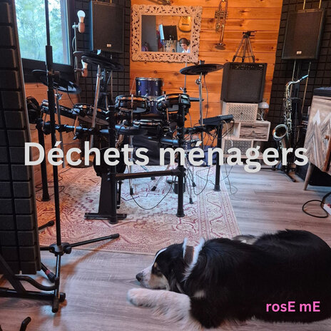 Déchets ménagers | Boomplay Music