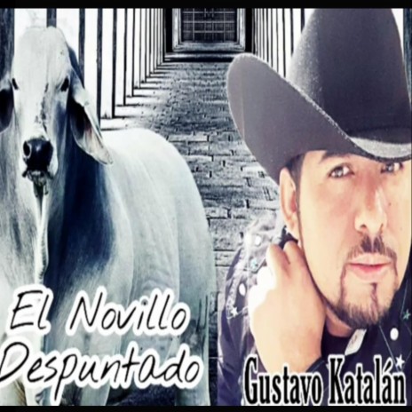 El Novillo Despuntado | Boomplay Music