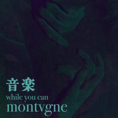 while you can | Boomplay Music