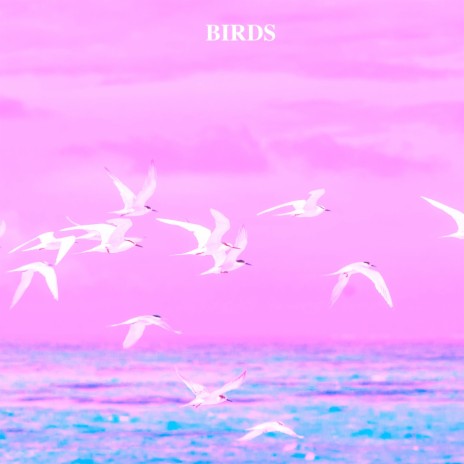 The Chirping Birds | Boomplay Music