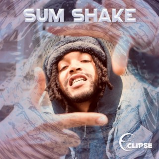 Sum Shake