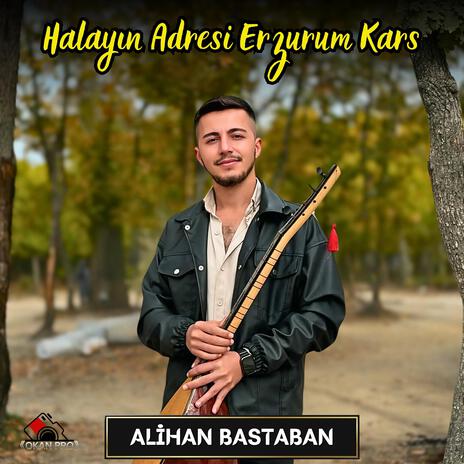 Oy Gülseren,He Gülüm,Yaylalar,Cevizin Alçak Dalı, Galali Aşgalali Erzurum Halayları ft. Alihan Bastaban | Boomplay Music