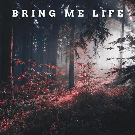 Bring Me Life | Boomplay Music