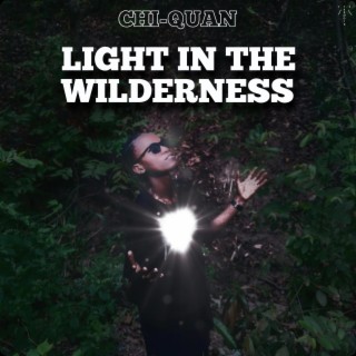 Light in the wilderness