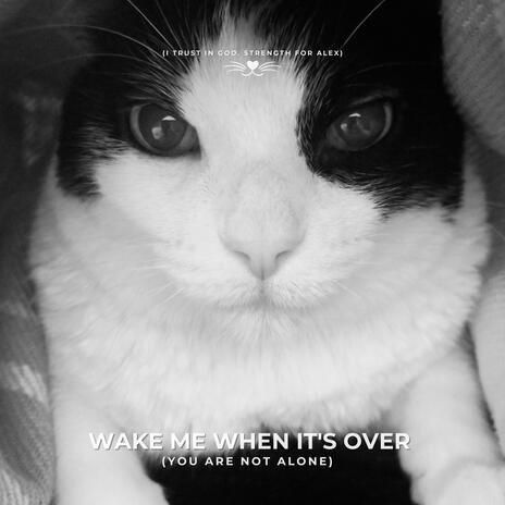 Wake Me When It's Over (You Are Not Alone) | Boomplay Music